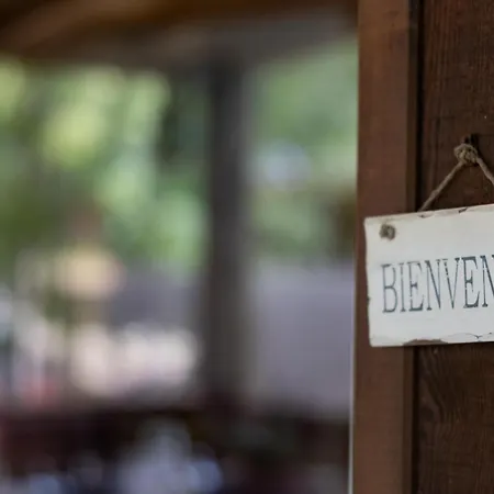 Chalet Du Bassin D'arcachon N°15