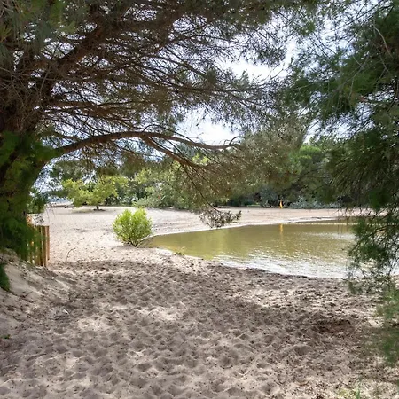 Du Bassin D'arcachon N°15 Chalet *